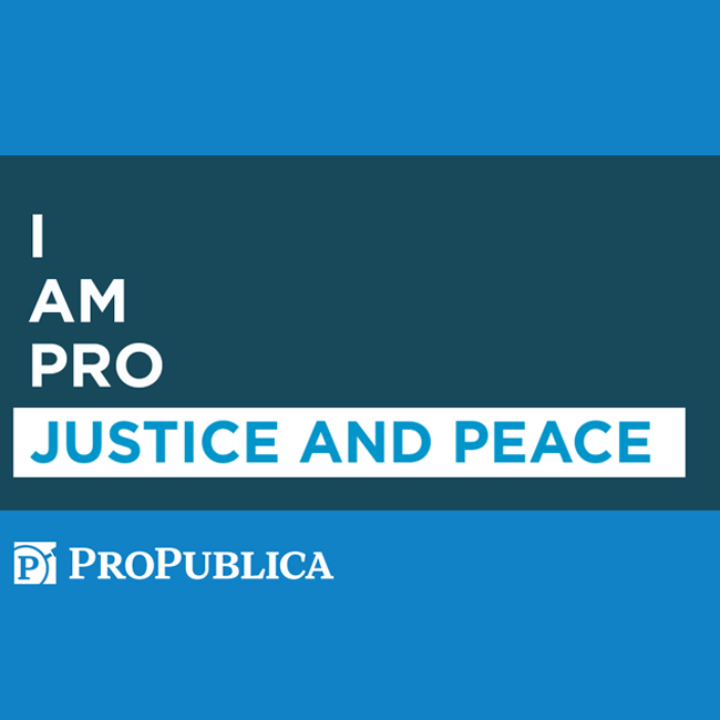 ProPublica Social Media